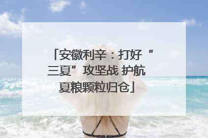 安徽利辛：打好“三夏”攻坚战 护航夏粮颗粒归仓
